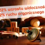 pozycjonowanie sklepu z zabawkami