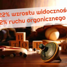 pozycjonowanie sklepu z zabawkami