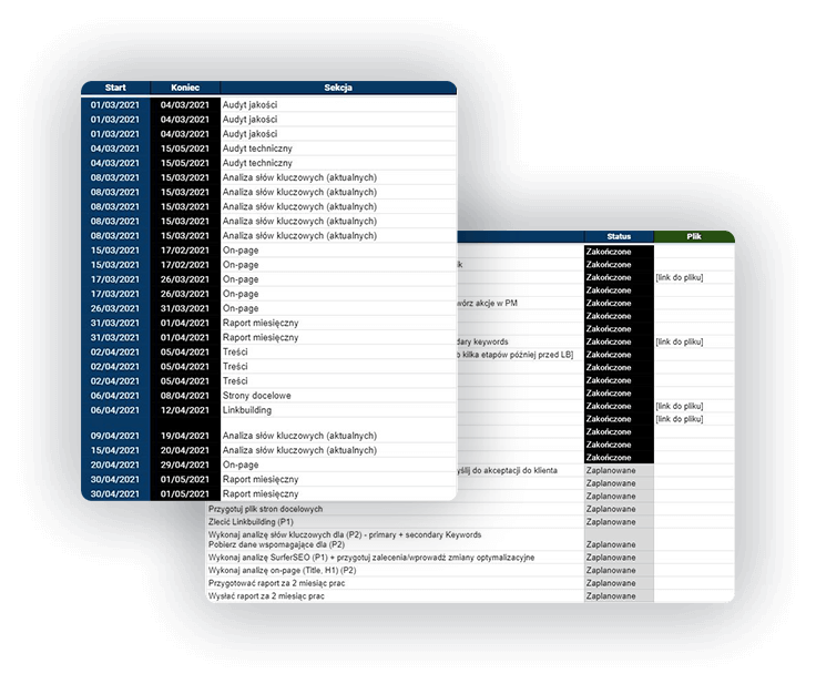 Transperentna agencja seo - plik klienta