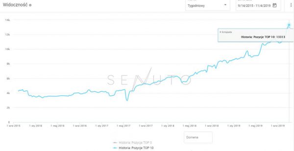 Pozycjonowanie sklepu internetowego