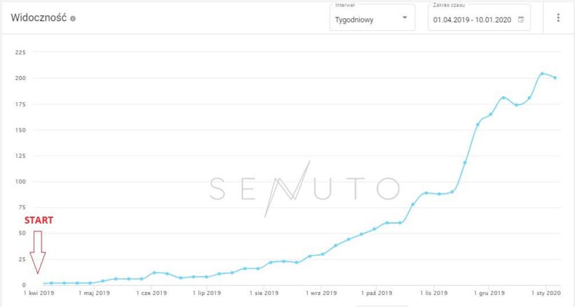 pozycjonowanie sklepu z kwiatami widoczność SEO