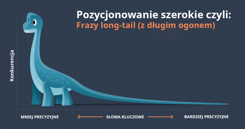 pozycjonowanie szerokie longtail