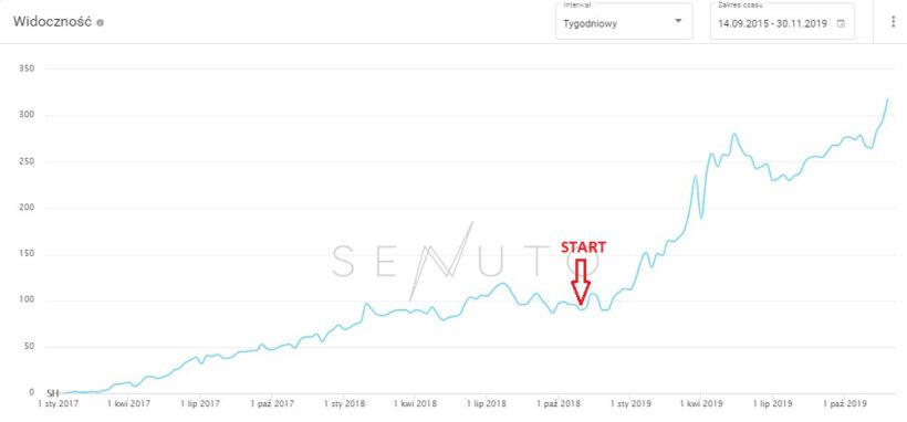 pozycjonowanie sklepu z sukienkami case study seo